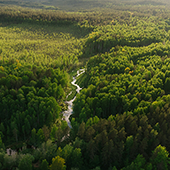 biodiversity monitoring