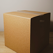 box newsletter
