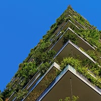 green, building, plants construction