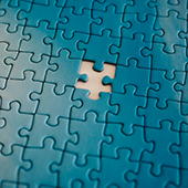 puzzle missing newsletter