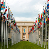 united nations flags newsletter
