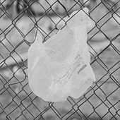 plastic bag